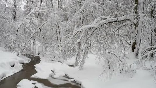 美丽的冬季景观有雪覆盖的树木和冰冻的森林河。视频
