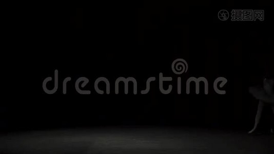 经典芭蕾舞女舞者视频