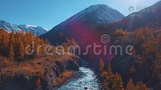 空中飞行-飞越高山秋河。 水为绿松石，落叶松为黄色.. 乘坐美丽的航班视频