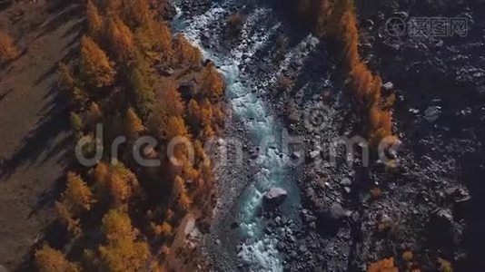 空中飞行-飞越高山秋河。 水为绿松石，落叶松为黄色.. 乘坐美丽的航班视频