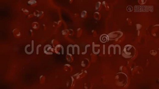 红血球在人体内流动视频