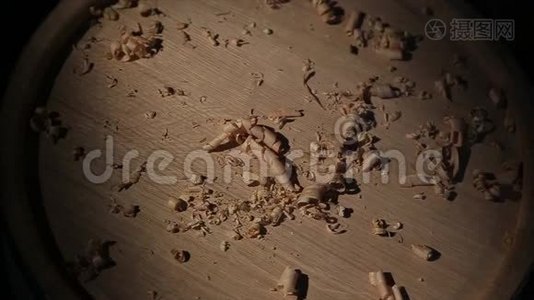 在天然松木板上刮毛的新鲜木材视频