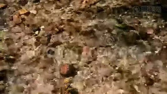 水流河流水下的小卵石视频