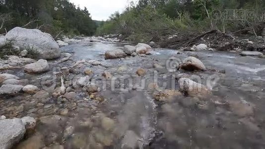 山河流经绿色森林视频