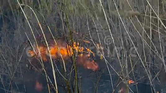 田野里的干草着火了视频