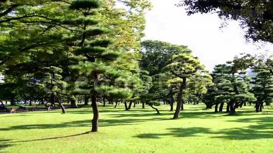 日本东京皇园树木的时间推移视频