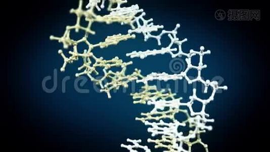 DNA分子视频