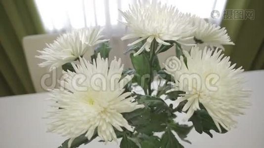 家庭内部美丽的白色菊花束。视频