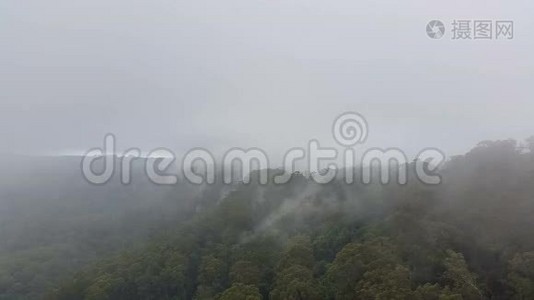 雾蒙蒙的山林雾气沉淀.视频