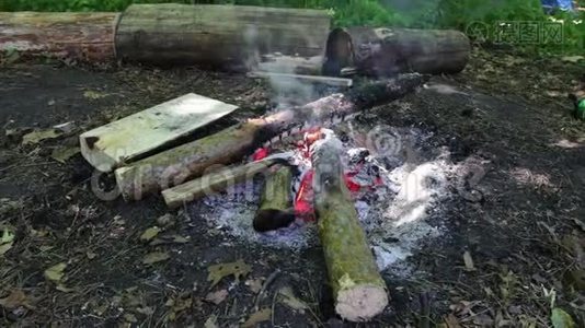 燃烧的大圆木在火中燃烧和阴燃。白天室外篝火视频