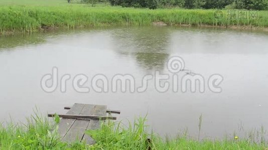 池湖桥及雨天水面鱼类视频