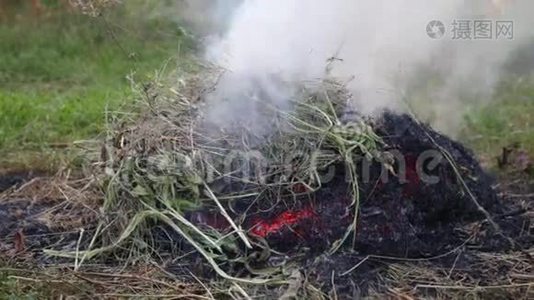 田野里的干草被风吹胀视频