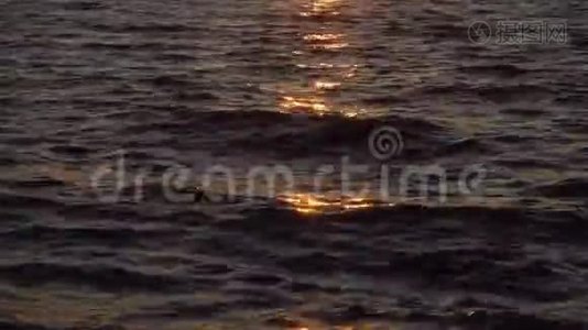 太阳射线中的海波视频