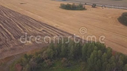 空中：在耕地上向无人机射击。一辆红色拖拉机在秋天开垦田地视频