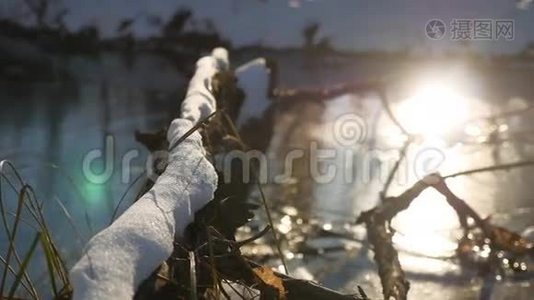 树枝冻在冰林河自然阳光下的冬天视频