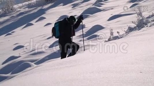 一个孤独的游客走过山林中的雪。 冬天雪林里的旅行者。 一个年轻人视频