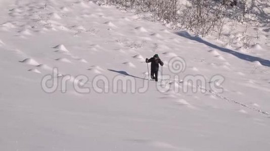 一个孤独的游客走过山林中的雪。 冬天雪林里的旅行者。 一个年轻人视频