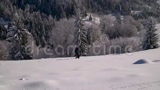 一个孤独的游客走过山林中的雪。 冬天雪林里的旅行者。 一个年轻人视频