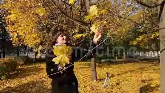 一个女孩从树枝上扔出黄色的叶子视频