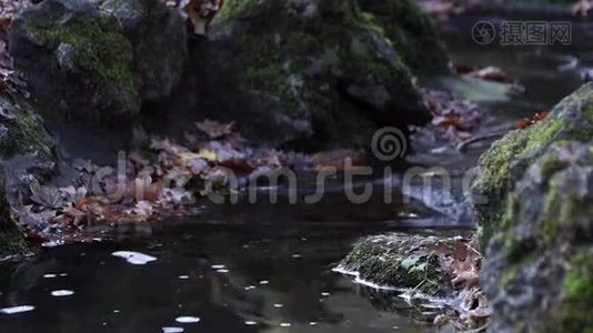 山河。 瀑布。 流动的水视频