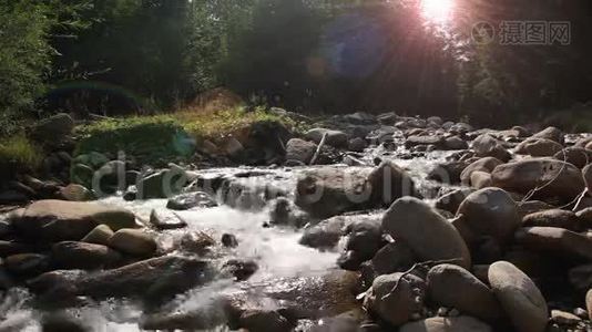 山地森林河视频