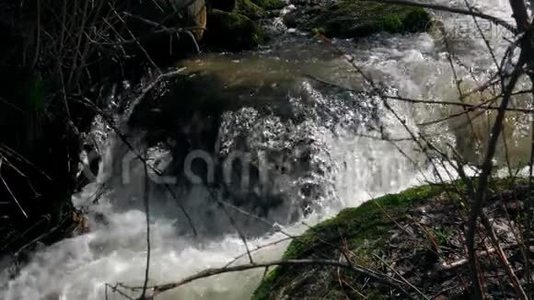 河流在灌木丛之间流动视频