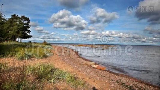 俄罗斯。 芬兰海湾的秋季沙质海岸视频