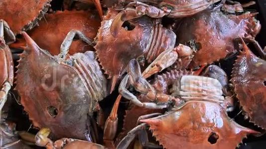 煮熟的红蟹，美味健康的海鲜视频