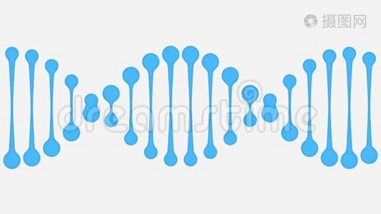 简化DNA分子，无缝环.视频