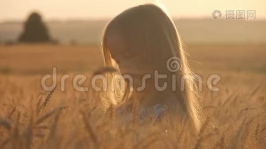 日落时在金色田野里的小女孩。视频