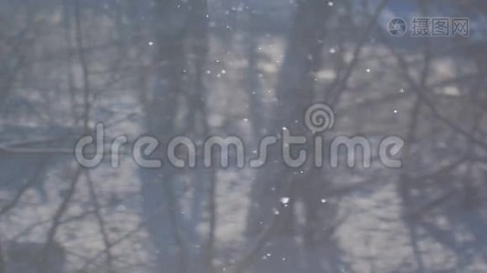 一片蓝色的背景，在阳光下飘落的雪视频