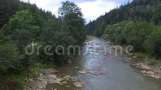 山河流经绿色森林视频