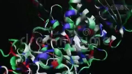 细菌电脑动画视频