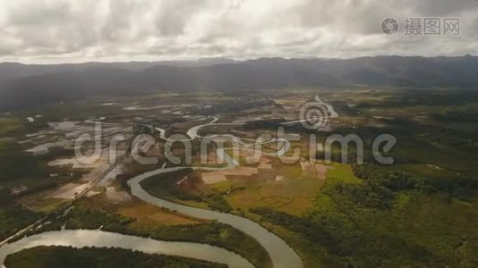 亚洲的红树林。 菲律宾卡坦杜安岛。视频