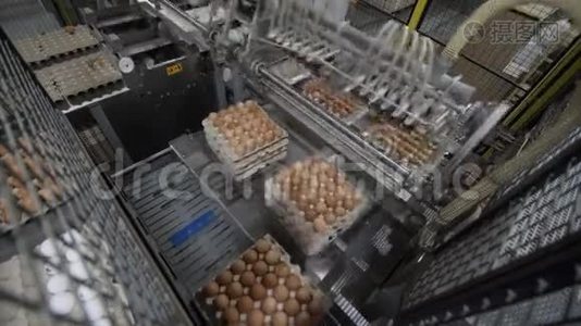 鸡蛋在工厂自动分拣视频