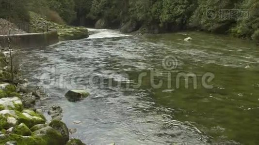 卡皮拉诺河急流，北温视频