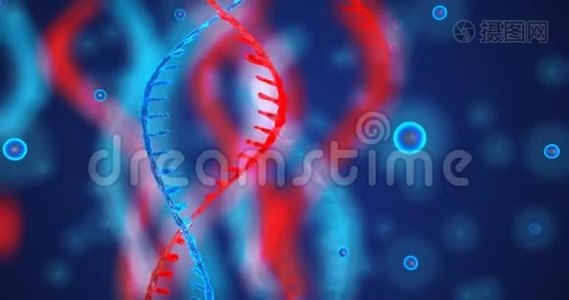 具有景深的抽象闪光DNA双螺旋.. 来自debrises的DNA构建动画。 科学动画视频