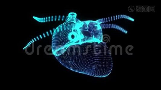 旋转人体心脏360度全息图。 发光蓝光粒子点的人体心脏模型。 无缝循环视频