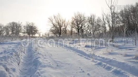 道路小径在雪的冬季景观，美丽的高尔夫，雪的阳光，自然的阳光视频