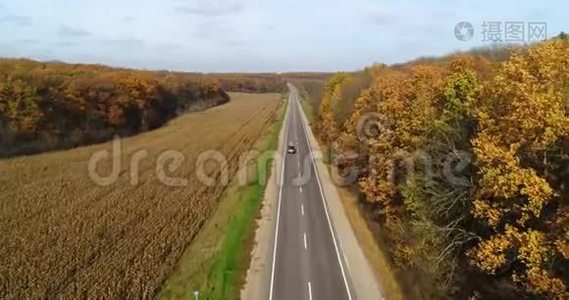 日落时秋林路鸟瞰。 令人惊叹的乡村道路景观，红色和橙色叶子的树木视频