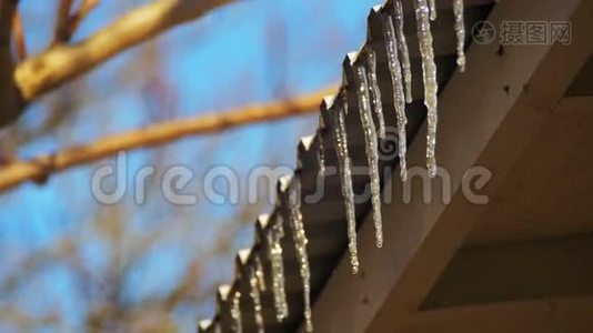 冬天的冰柱在春天的阳光下融化在屋顶上，从它们的提示中滴落下来视频