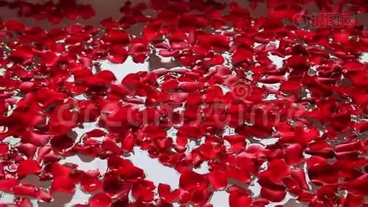 印度北方邦阿格拉阿玛尔别墅酒店浴缸中的泛红玫瑰花瓣视频