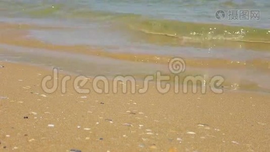 在阳光明媚的夏日沙滩上浪视频