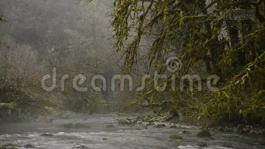 水波荡漾。 水面。视频