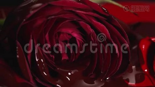 红色油漆口红液体质地，油彩为绘画，混合色调，艺术化妆为脸玫瑰花。视频