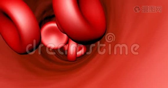 动脉血小板中的红细胞视频