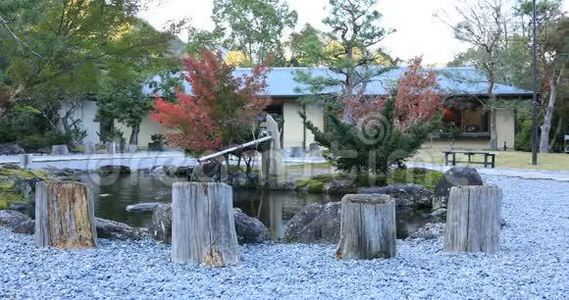 日本静冈公园秋天的日本传统花园视频