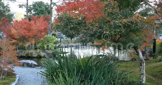 日本静冈公园秋天的日本传统花园视频