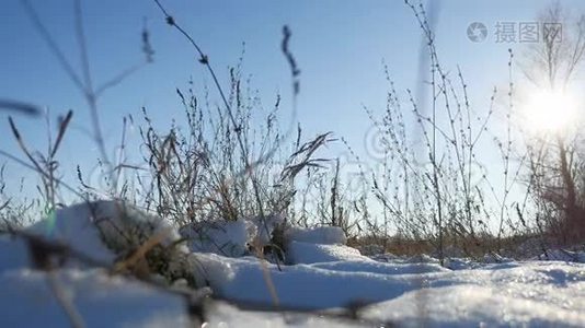 干燥的草在风中摇曳，冬天的雪，自然的风景，草原视频