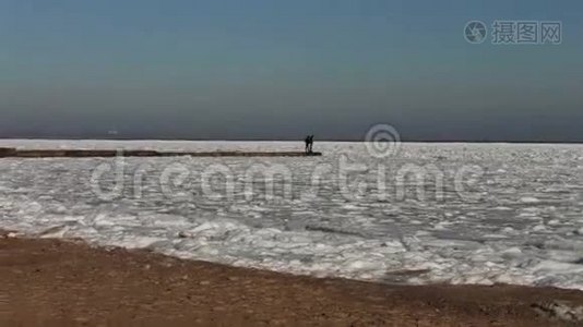 海鸥坐在冰封的海面上视频